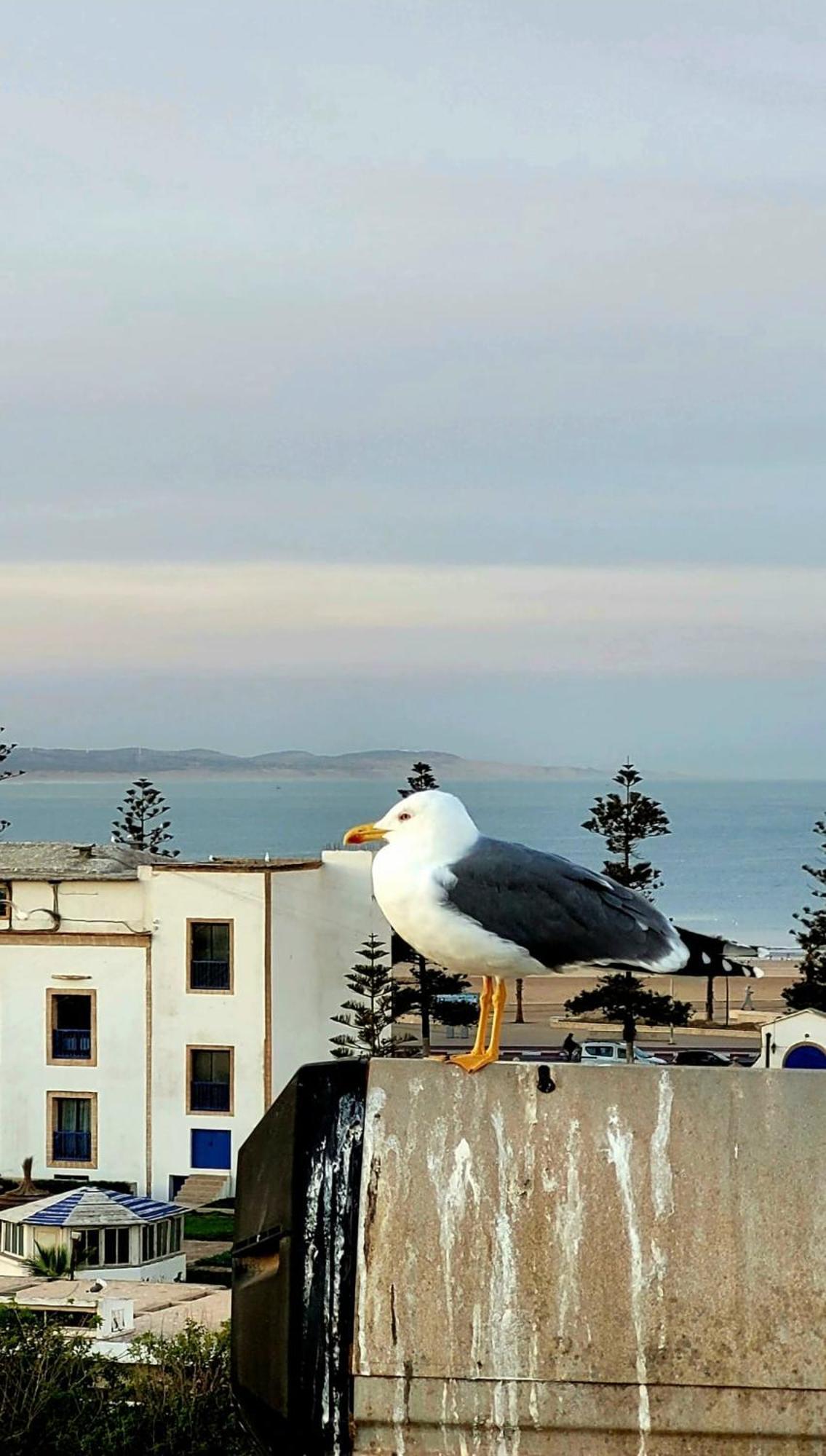 Riad Ocean Medina Essaouira Exterior photo